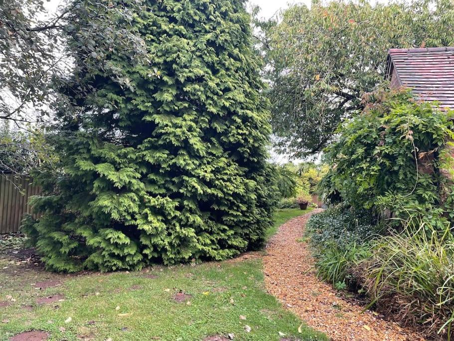 The Big Cosy Boudoir Bed + Hot Tub Harvington Exterior foto